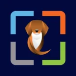 Papel de Parede de Cachorro HD