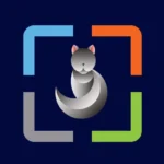Sfondi Gatti HD Gratis